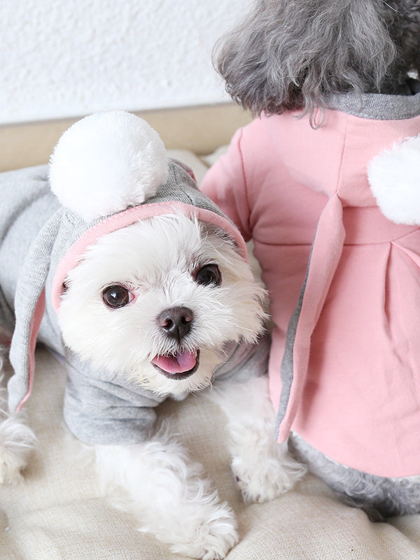 Long Ear Rabbit Sweater Pet Clothes